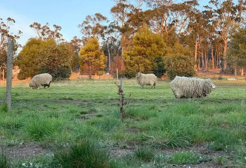 Majatalo Couples Retreat With Mountain View Near Hobart