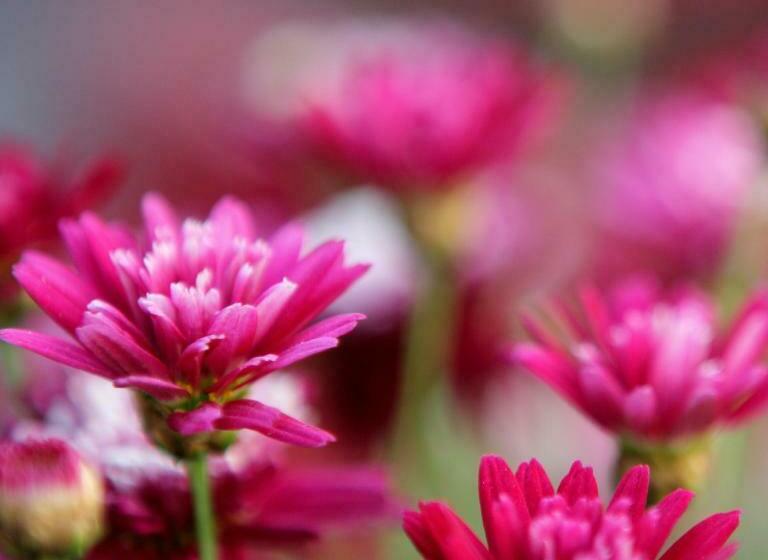 ペンション Sarah S Place Guesthouse