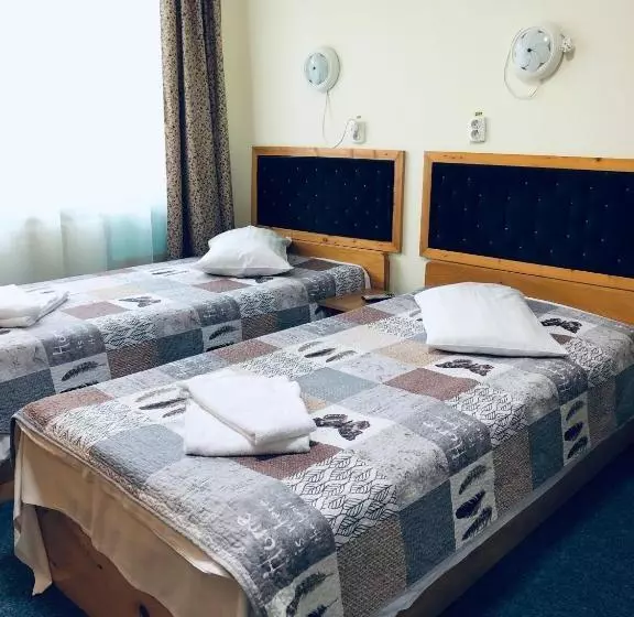 Общежитие Adabelle