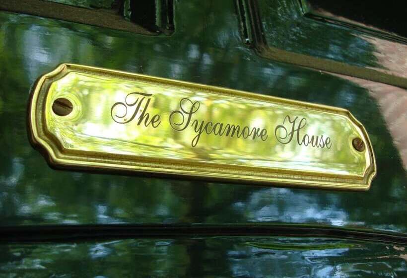 Bed and Breakfast Boutiquehotel Sycamore Protected City View Free Parking