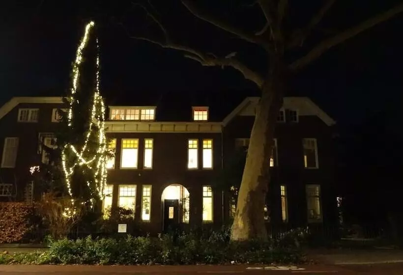 تختخواب و صبحانه Boutiquehotel Sycamore   Protected City View   Free Parking