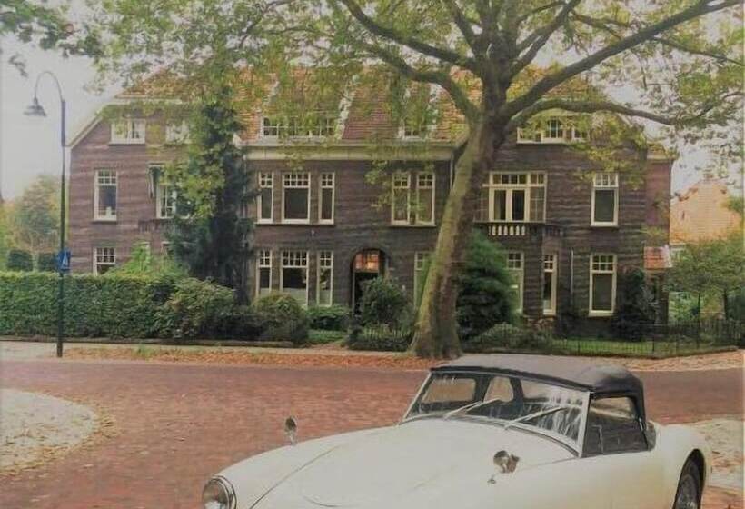 Bed and Breakfast Boutiquehotel Sycamore Protected City View Free Parking