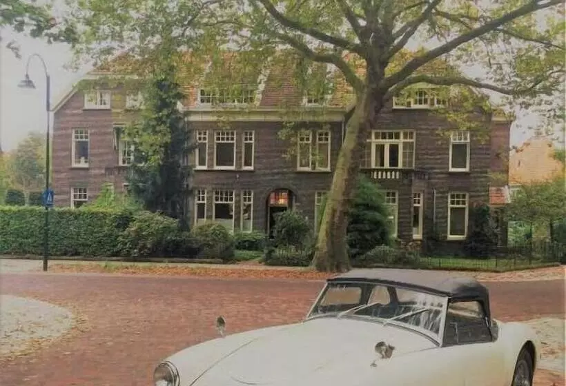 تختخواب و صبحانه Boutiquehotel Sycamore   Protected City View   Free Parking