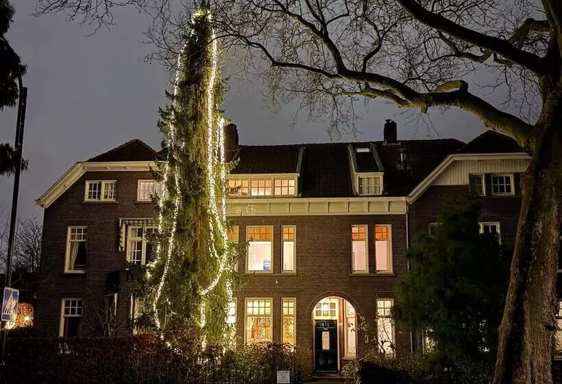 تختخواب و صبحانه Boutiquehotel Sycamore   Protected City View   Free Parking