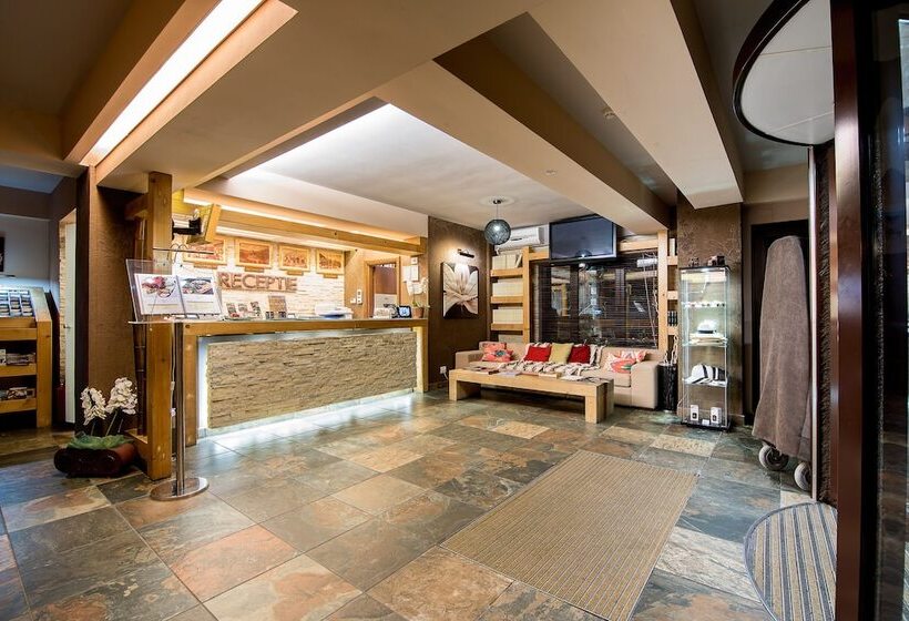 호텔 Ioana Boutique