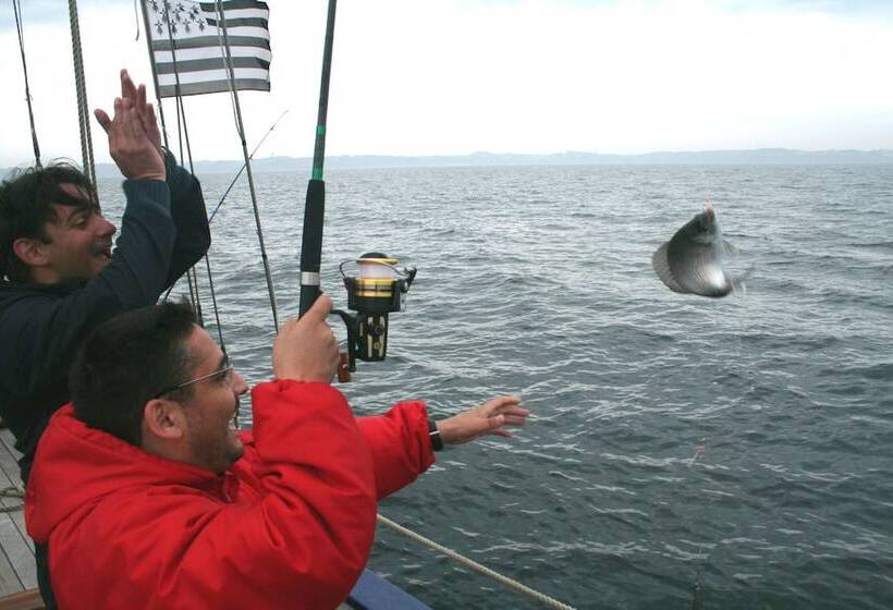 فندق Le Cardinal  Belleileenmer
