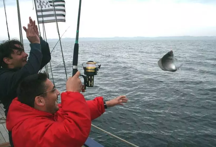 ホテル Le Cardinal Belleileenmer