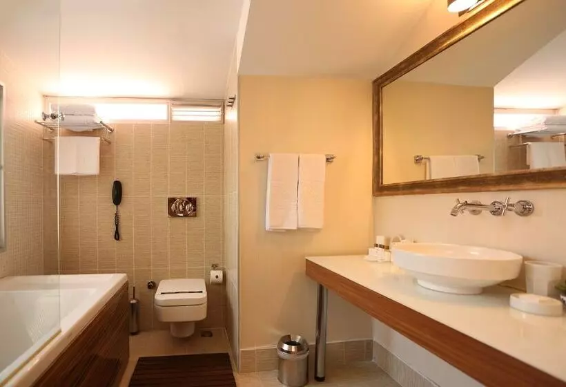 Отель Riva Reşatbey Luxury