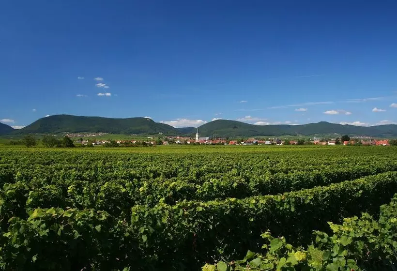 בית מלון כפרי Schloss Edesheim