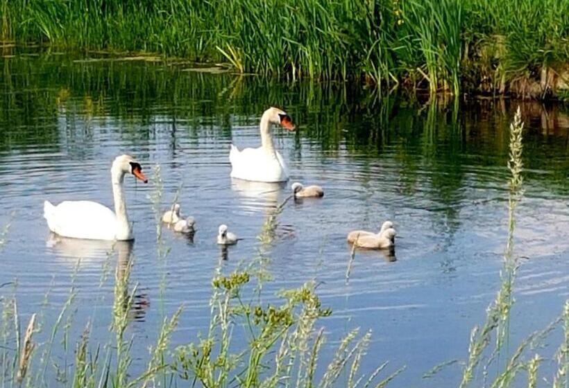 Bed and Breakfast Bed En Breakfast Donna