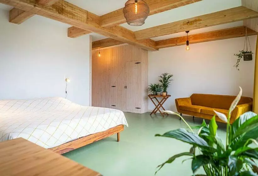 Aamiaismajoitus (B&B) Wijngaard De Kroon Van Texel