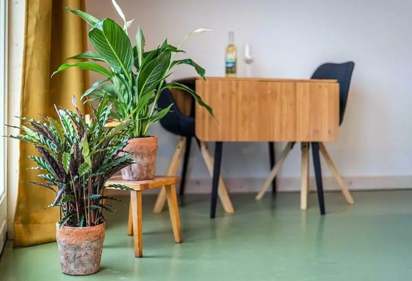 Aamiaismajoitus (B&B) Wijngaard De Kroon Van Texel