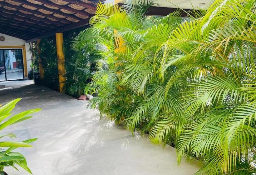 فندق Boutique Ixaya