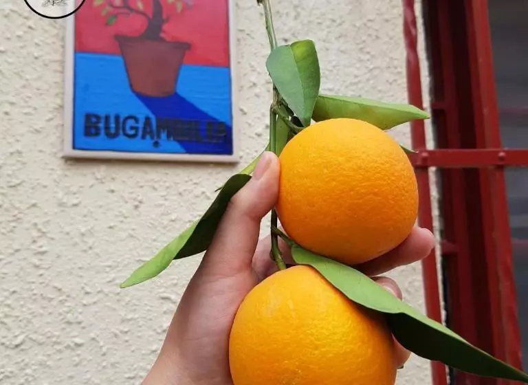 پانسیون Hostal Iká