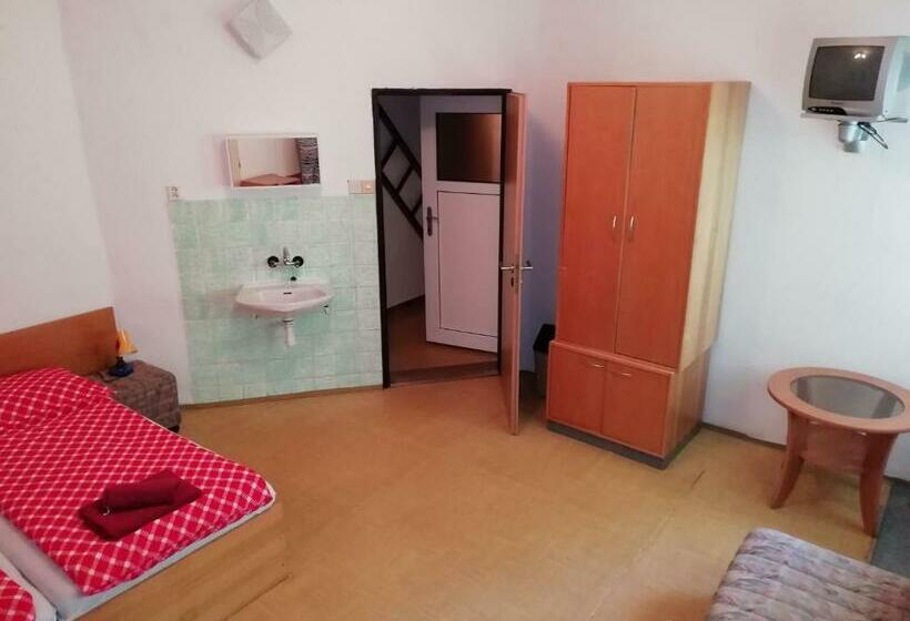 פנסיון Penzion Rudolfovna