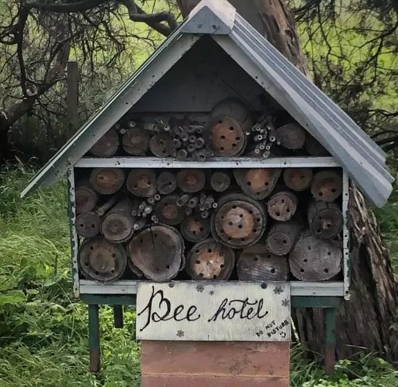 Retkeilymaja Bethany Cottages