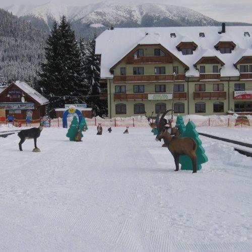 Apartment House Kamzík 9