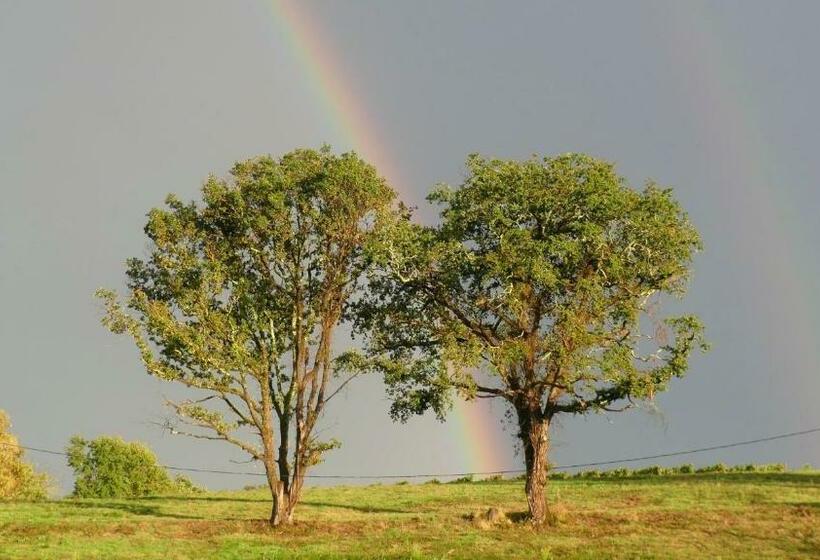 Aux Tuileries Nord B&b