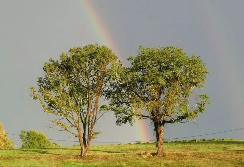 Aux Tuileries Nord B&b