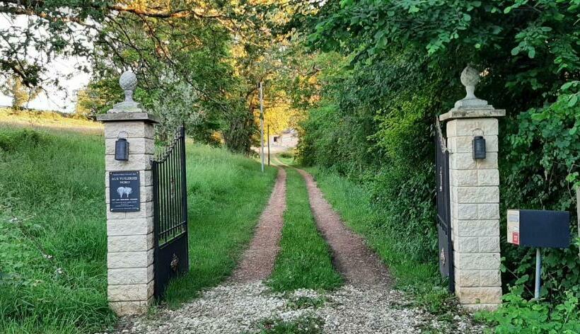 Aux Tuileries Nord B&b