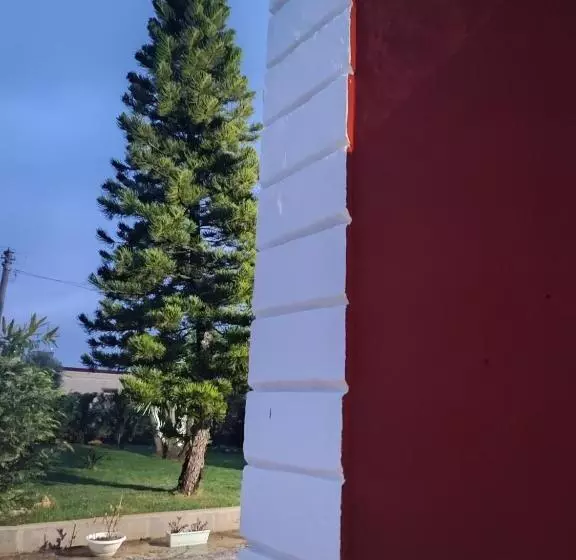 Aamiaismajoitus (B&B) Dimora Dei Nonni 199