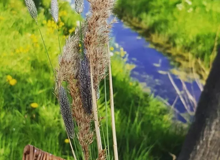 Aamiaismajoitus (B&B) Ontbijt Bij De Boerenmeid