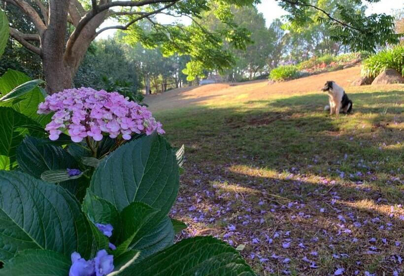 Bed and Breakfast Wyndover Mountain Retreat