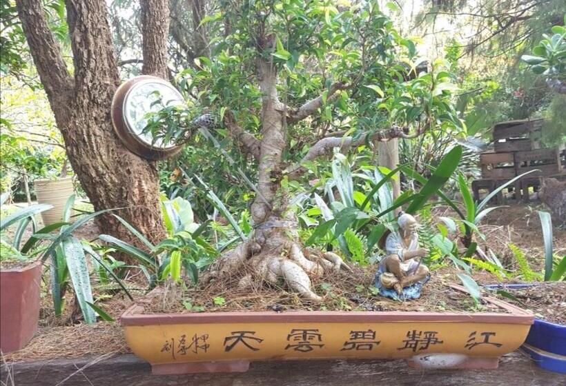 Bed and Breakfast Wyndover Mountain Retreat