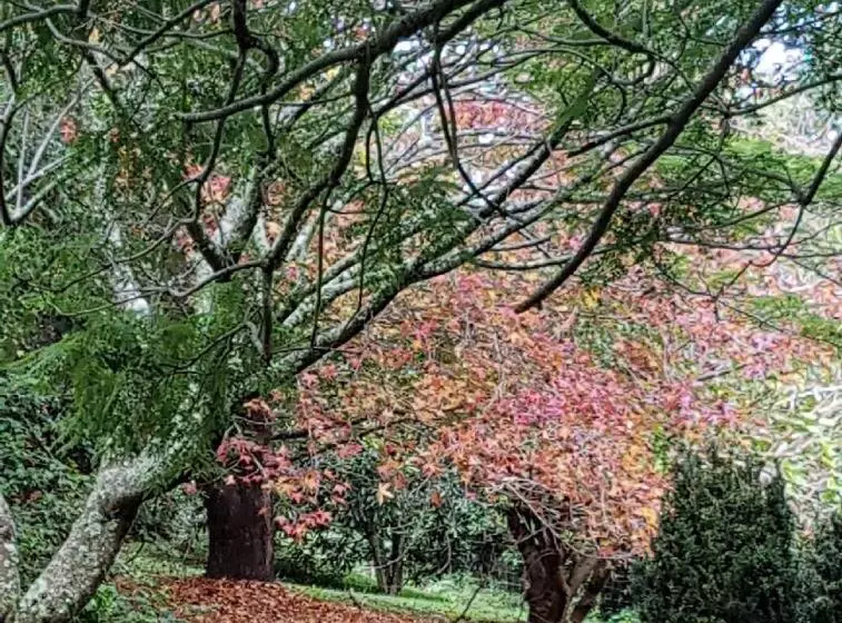 Aamiaismajoitus (B&B) Wyndover Mountain Retreat