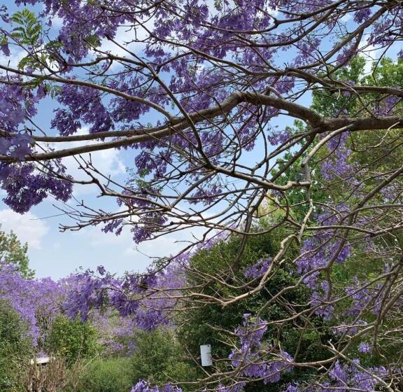 Bed and Breakfast Wyndover Mountain Retreat