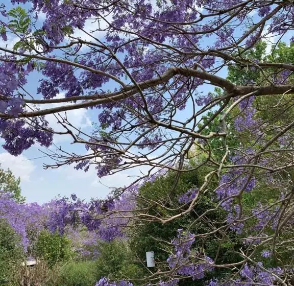 Aamiaismajoitus (B&B) Wyndover Mountain Retreat