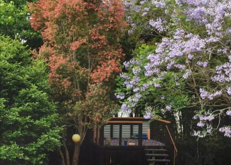 Aamiaismajoitus (B&B) Wyndover Mountain Retreat