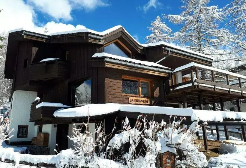 La Sauvagine B&b Skis Aux Pieds