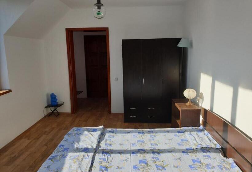 פנסיון Casa Cu Meri