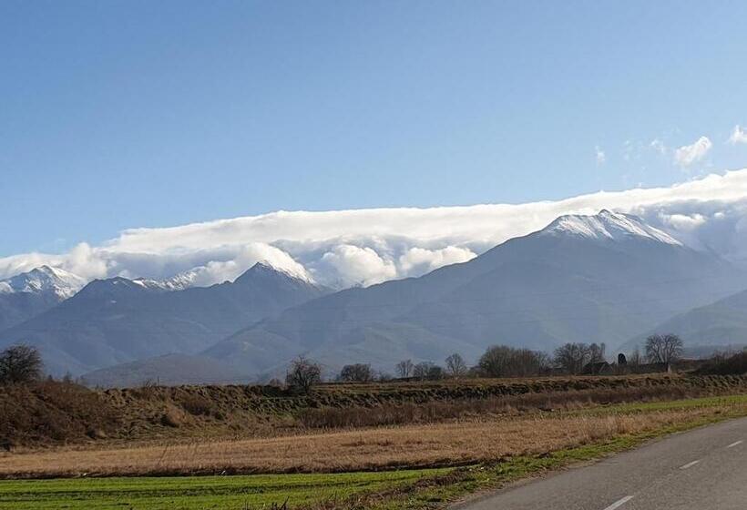 פנסיון Casa Cu Meri