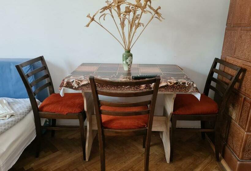 پانسیون Aurora Vendégház