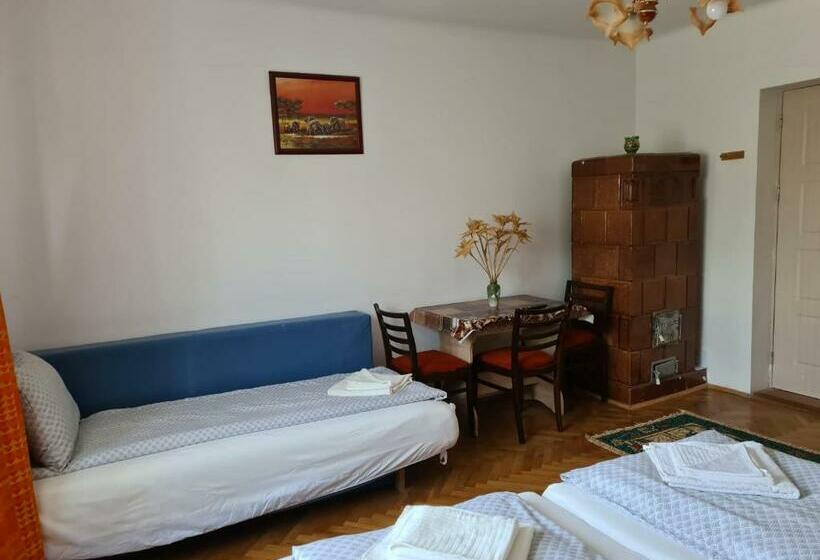 پانسیون Aurora Vendégház