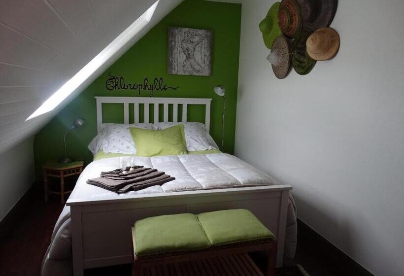 ペンション Chambres D Hôtes De La Voie Romaine