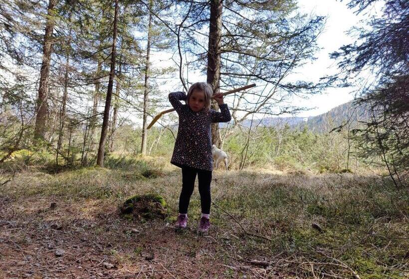 פנסיון Gästehaus Schwaiger