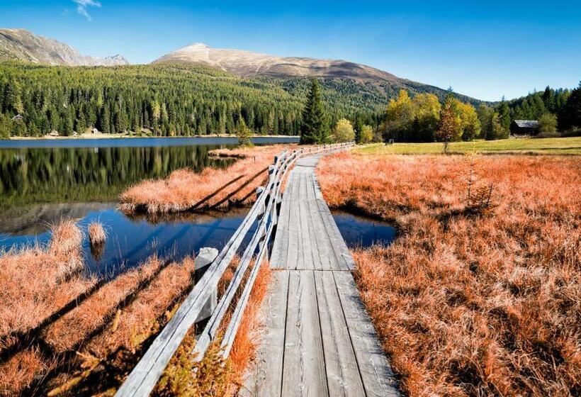 פנסיון Gästehaus Schwaiger