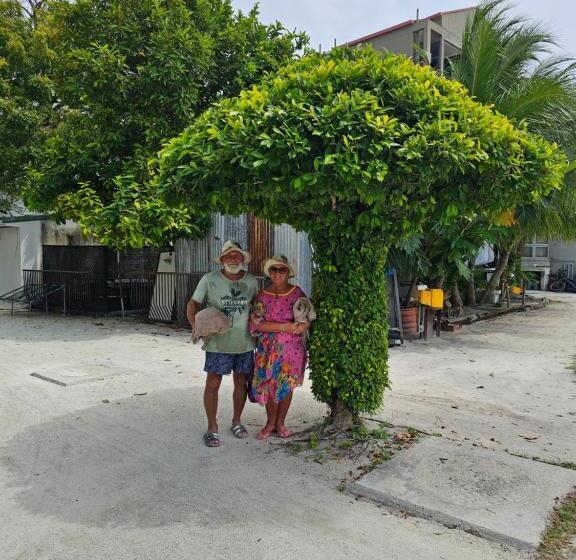 پانسیون Nirili Villa