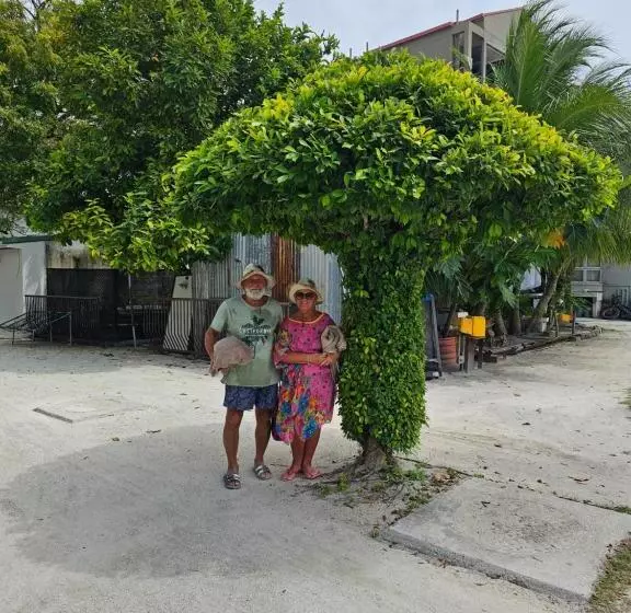 پانسیون Nirili Villa