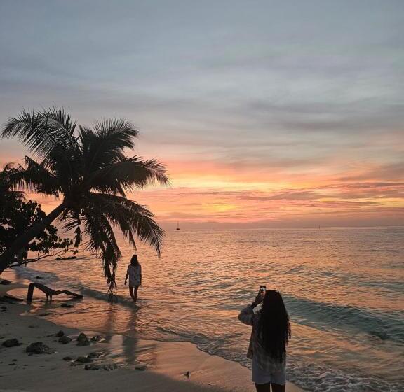 پانسیون Nirili Villa