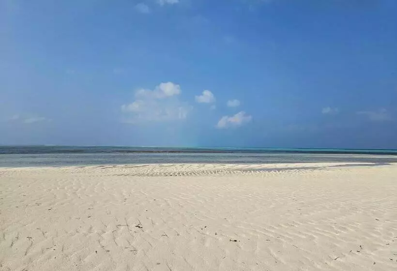 پانسیون Nirili Villa