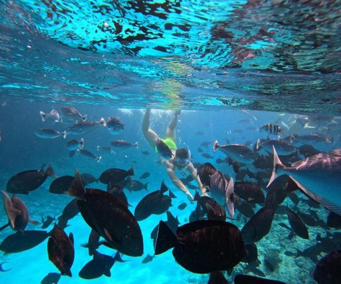 پانسیون Nirili Villa