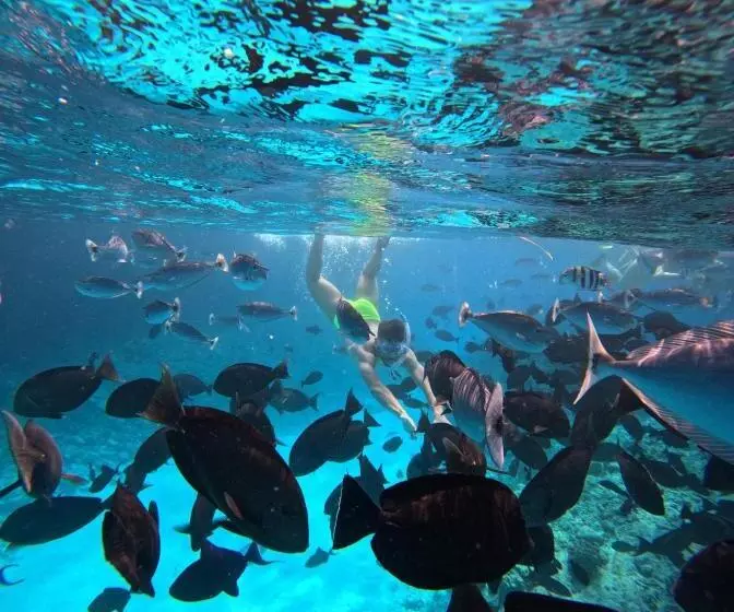 پانسیون Nirili Villa