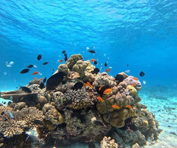 پانسیون Nirili Villa