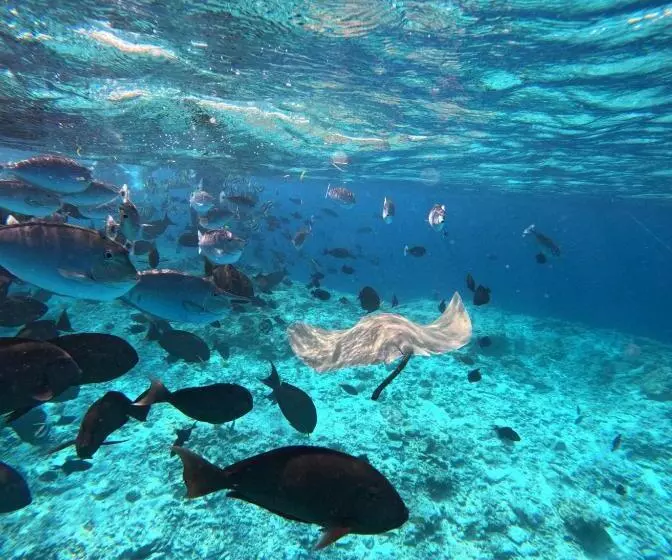 پانسیون Nirili Villa