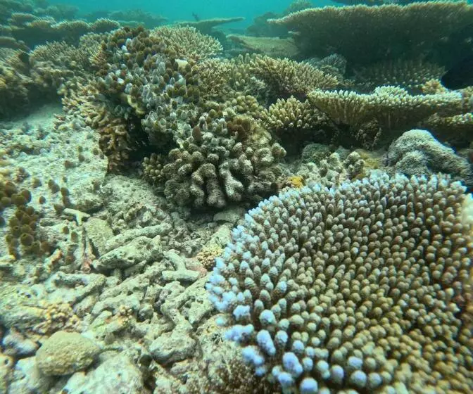 پانسیون Nirili Villa