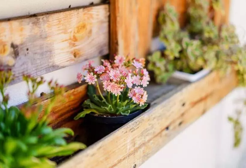 ペンション 40° Parallelo Guest House